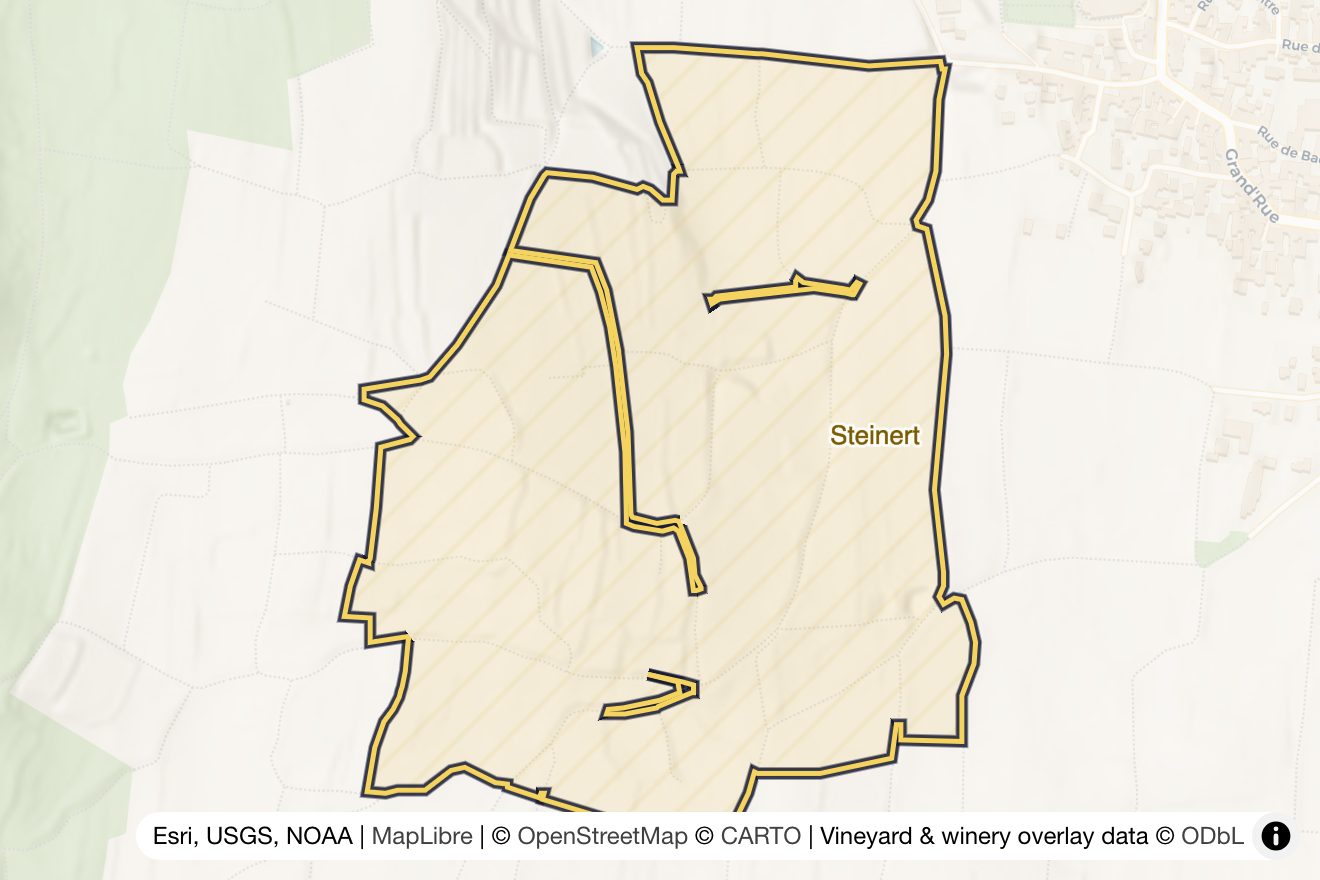 Map of Steinert
