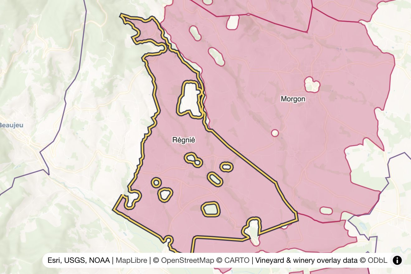 Map of Régnié