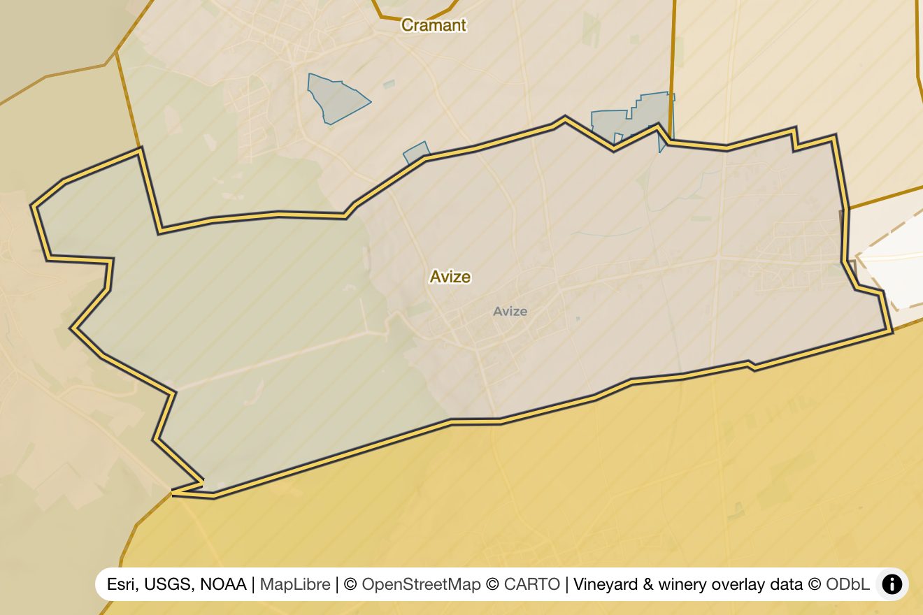 Map of Avize