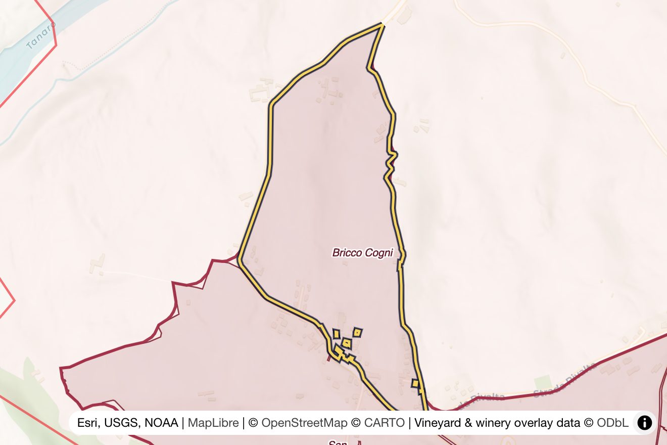 Map of Bricco Cogni